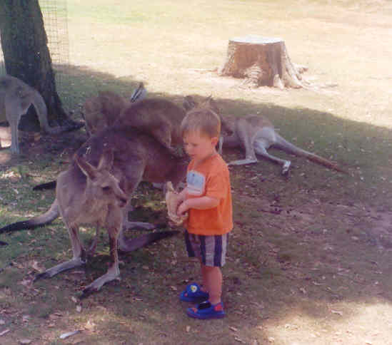 Patrick geeft kangaroe eten