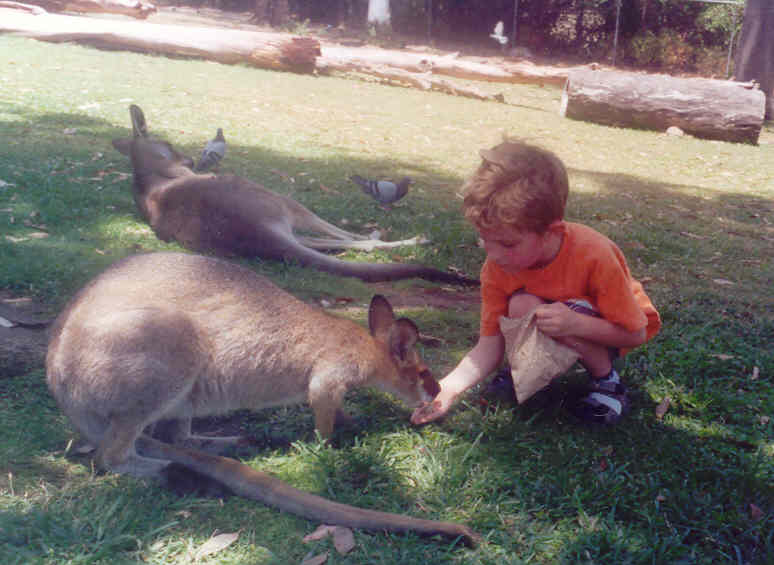 Simon geeft kangaroe eten