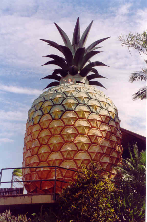 The big pineapple (let op Angele en Patrick)