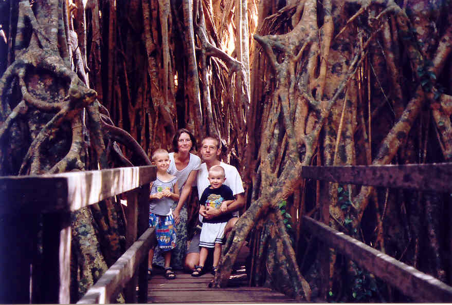 De Aussie Vano's binnenin de catherdal fig tree (grootste boom van Australie)